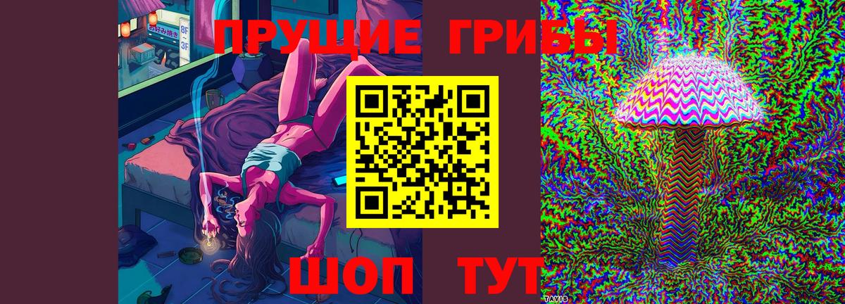 Галлюциногенные грибы прущие грибы Казань