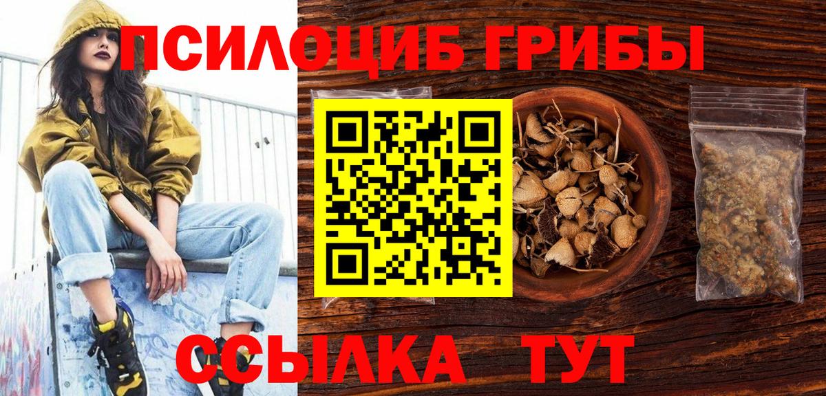 Псилоцибиновые грибы прущие грибы  Вход с VPN  Казань 